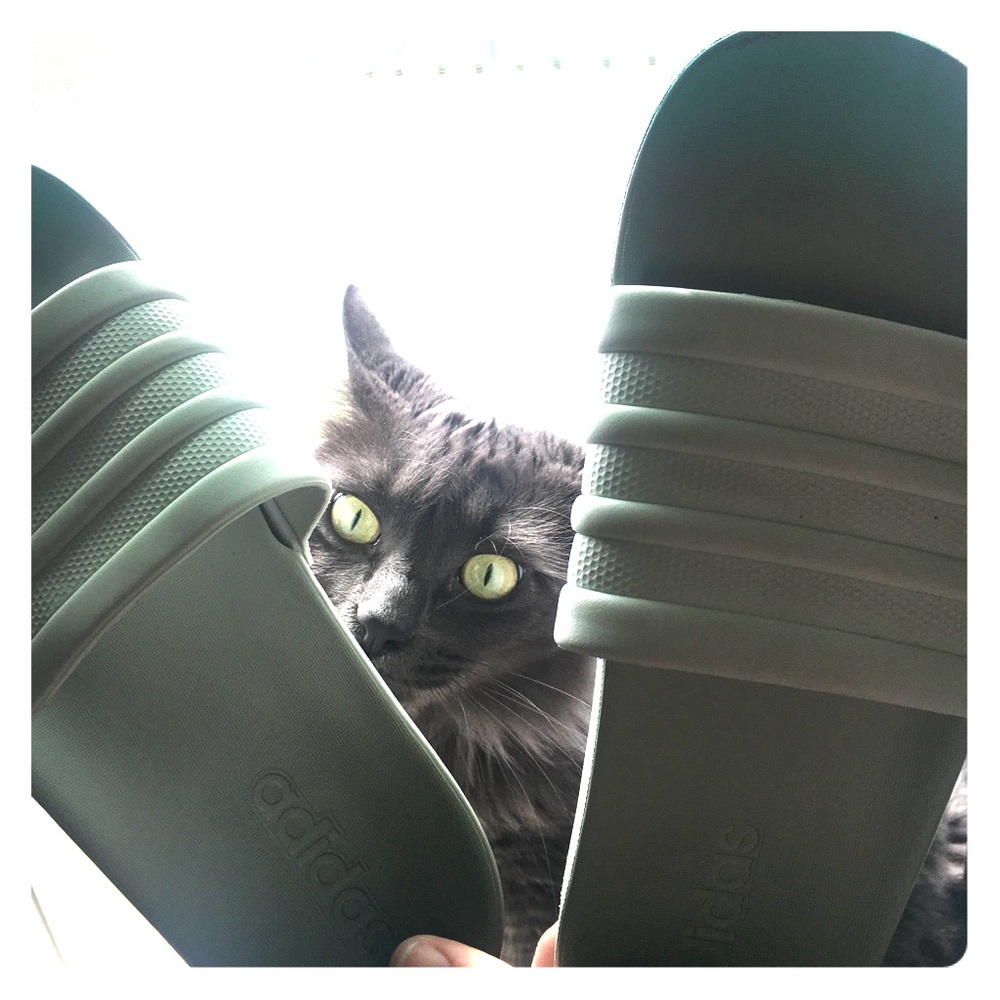 Adidas slides size 7